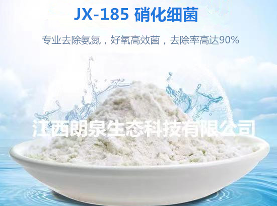 JX-185硝化菌劑